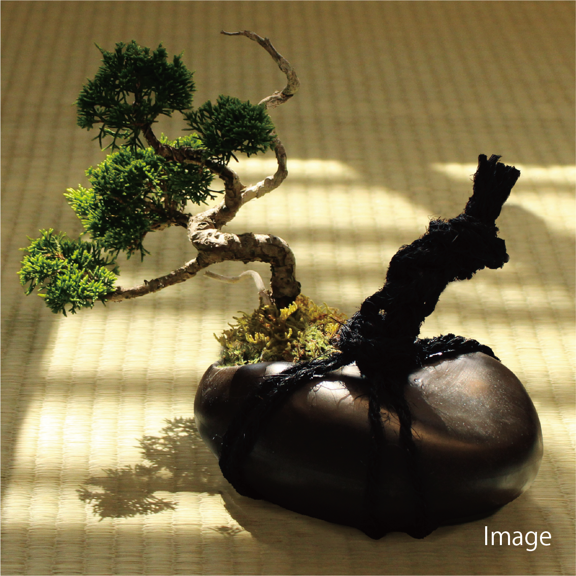 plant pot 'tomeishi'